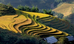 Cẩm nang du lịch Sa Pa