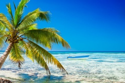 Việt Nam du lịch 44 nước không visa