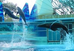 Lịch Khởi Hành Lễ 30 Tháng 04 Năm 2015