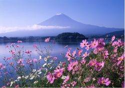 Những điều cần lưu ý để không bị xấu hổ ở Nhật Bản