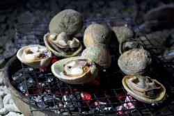 Hải sản thơm ngon trên biển đêm Lý Sơn