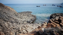 Du lịch Phú Yên khám phá xứ sở “Hoa vàng trên cỏ xanh”