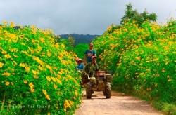Tháng 11 đến với Đà Lạt