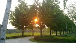 10 trải nghiệm hấp dẫn gần Seoul khi đi du lịch Hàn Quốc