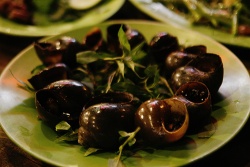 Ốc bươu nướng tiêu món ăn làm say lòng của vùng đất Cần Thơ